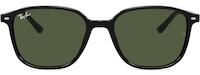 Ray-Ban Leonard 2193 11