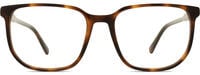 Gant 11