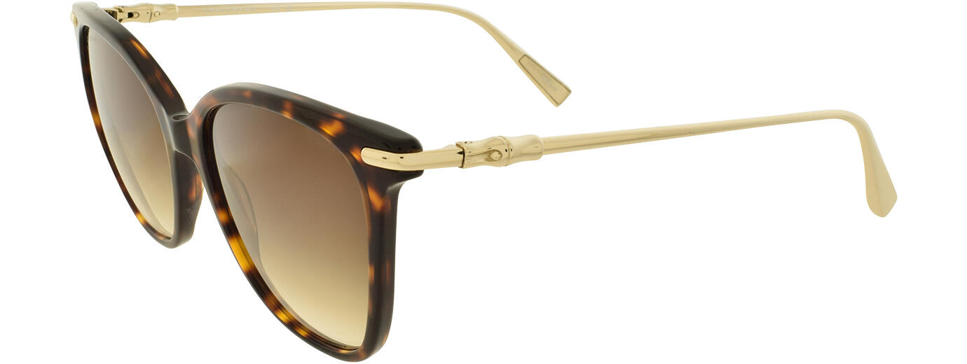 Longchamp 01