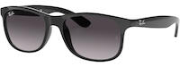 Ray-Ban Andy 4202 41