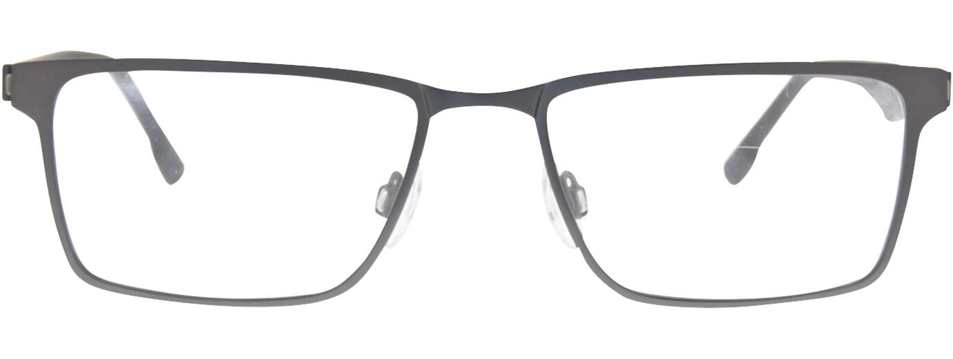 Flexon E1071