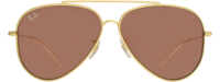 Ray-Ban 0101 21