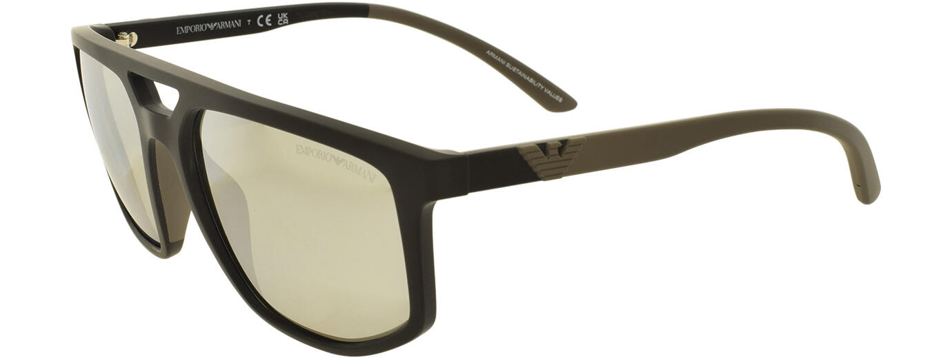 Emporio Armani Sun 0EA4248U 01