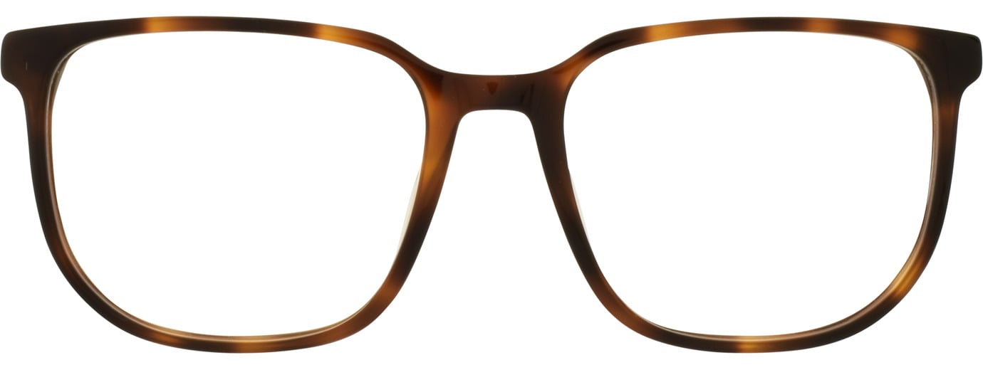 Gant 21