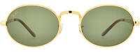 Ray-Ban 0RB3931 21