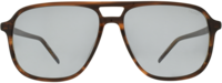 Hugo Boss 21