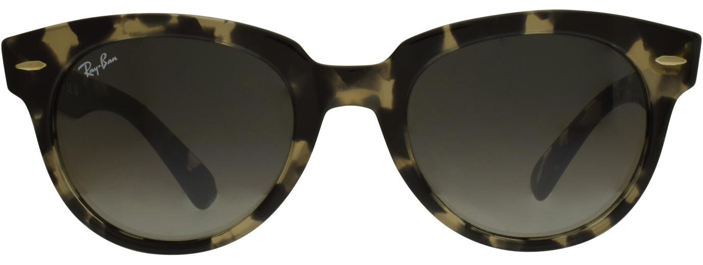 Ray-Ban 0RB2199 11
