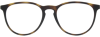 Ray-Ban Erika 7046 21