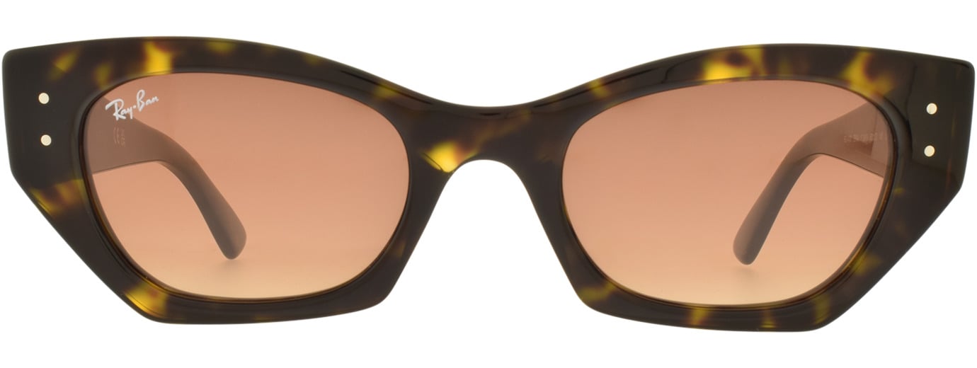 Ray-Ban 4430 21